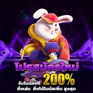 ทางเข้า pgduck